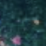 Avatar de usuario